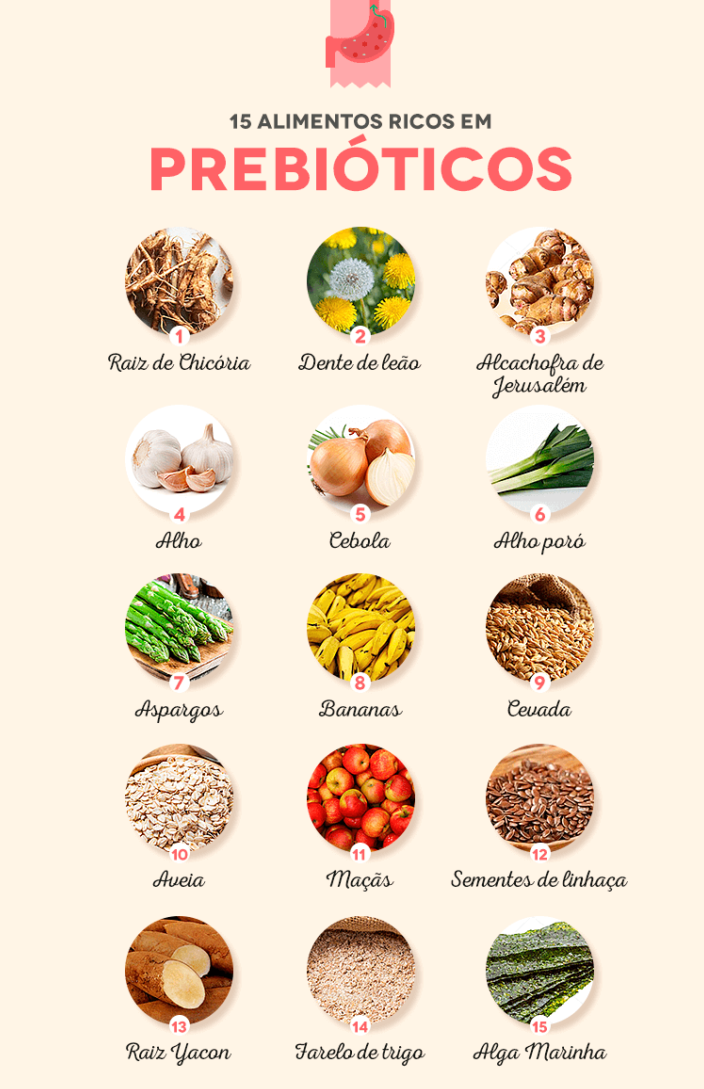Prebióticos versus probióticos: entenda a diferença fundamental. - inspiração 1