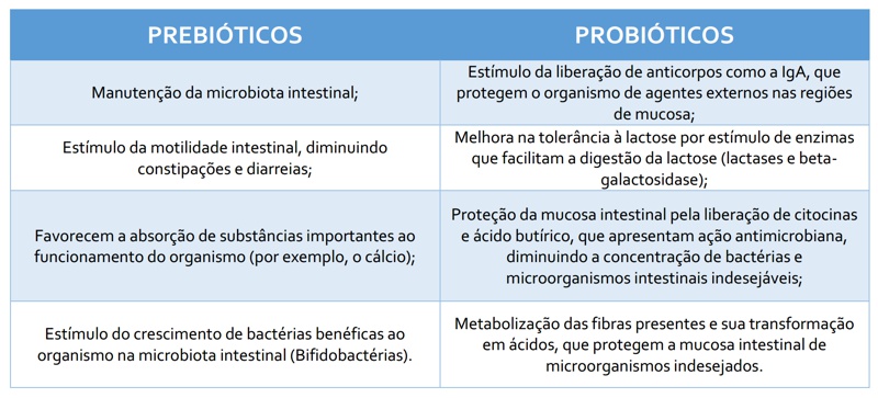Benefícios dos prebióticos para sua saúde geral: vai além da digestão. - inspiração 1