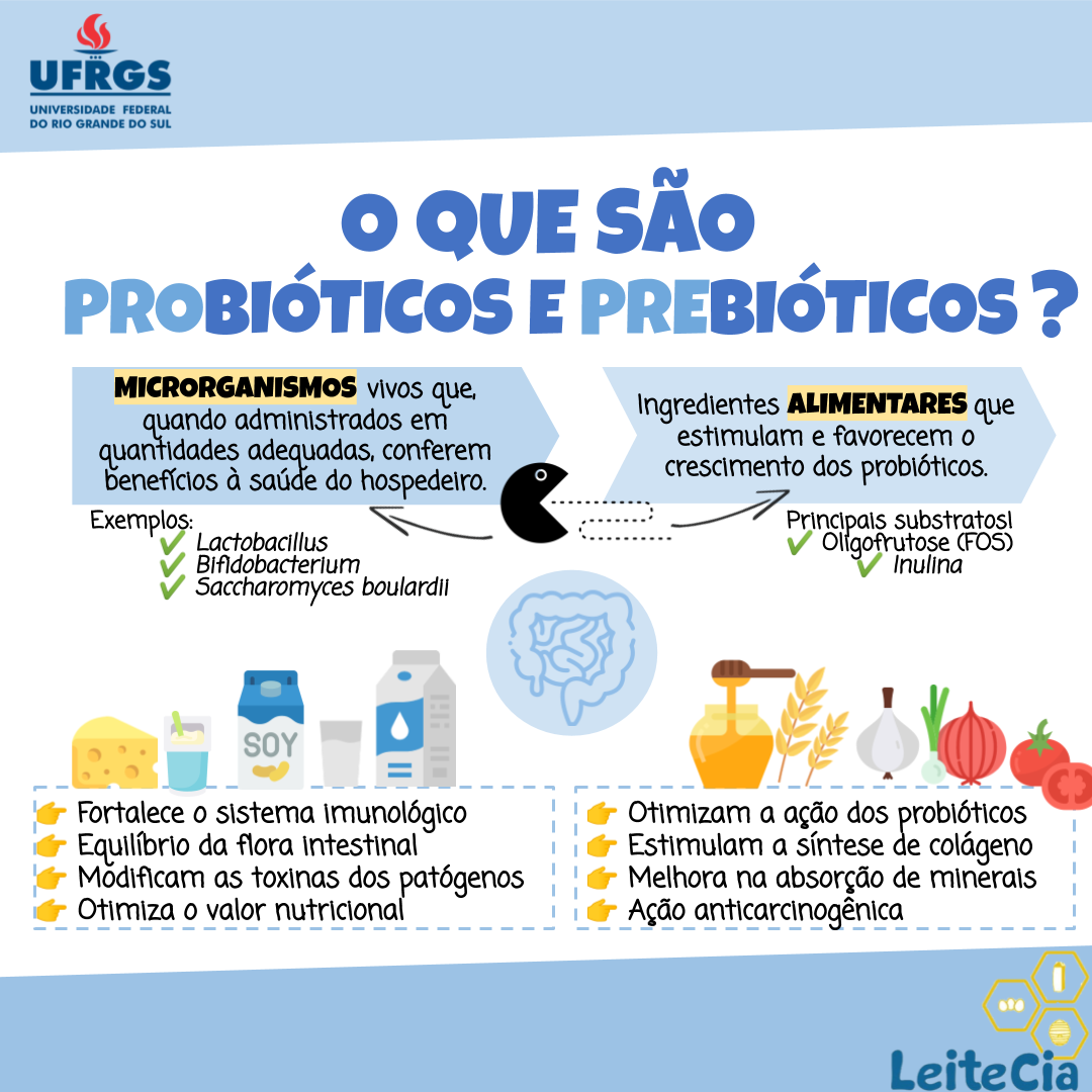 Cuidado com os excessos: quando menos é mais no consumo de prebióticos. - inspiração 1