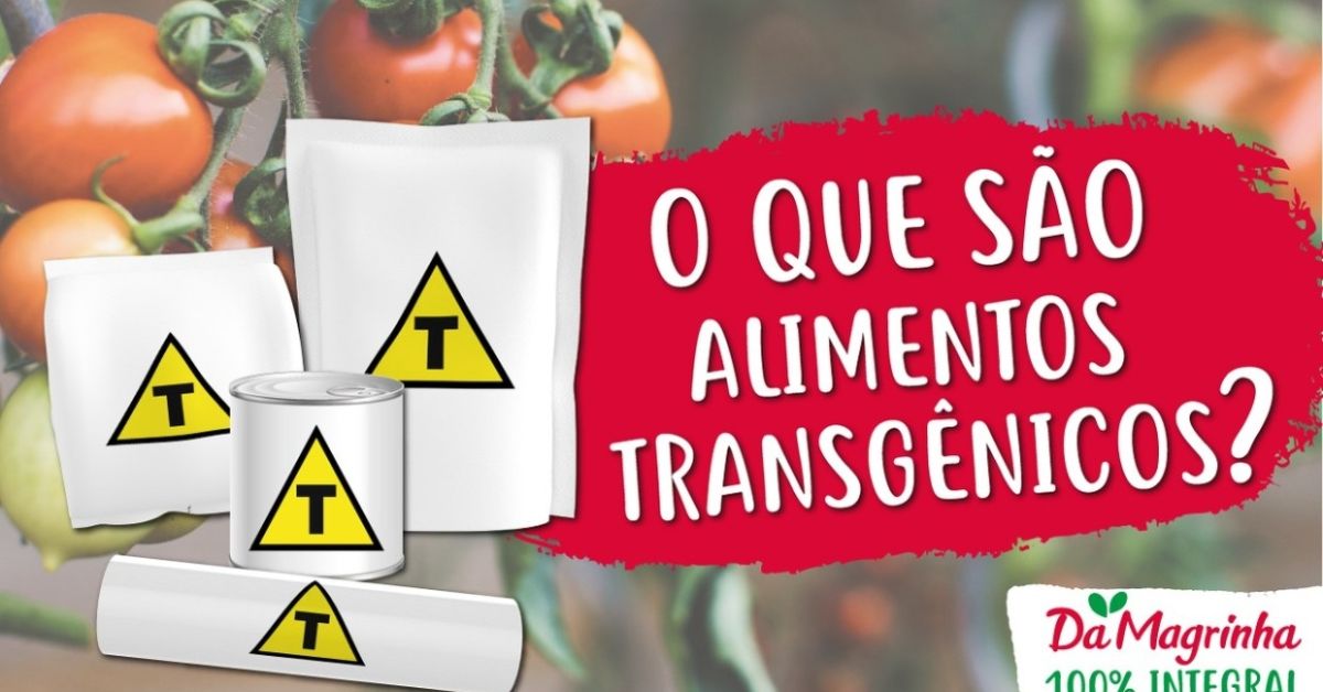 Os Riscos e Benefícios dos Alimentos Transgênicos