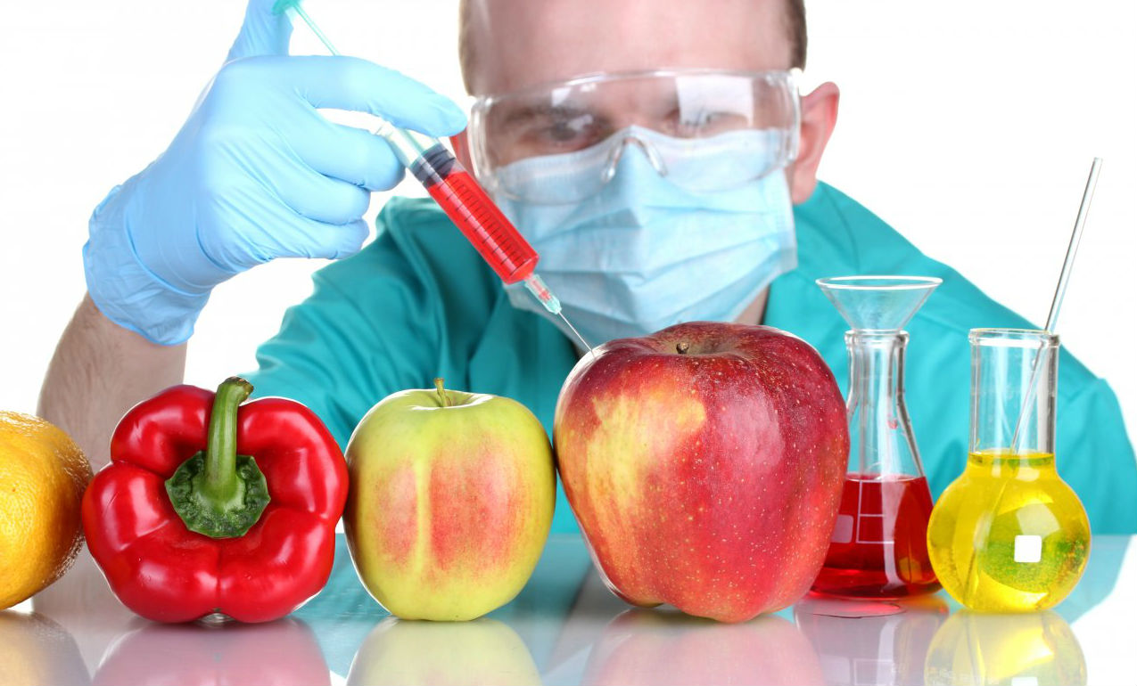 Como a Engenharia Genética Transforma Nossos Alimentos