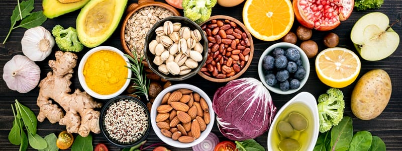 Guia Completo da Rotulagem de Transgênicos no Brasil