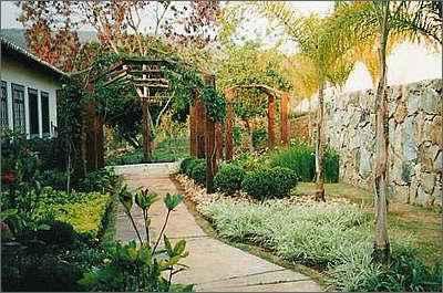 Comece Pequeno: Um Vaso Já Faz a Diferença - inspiração 1