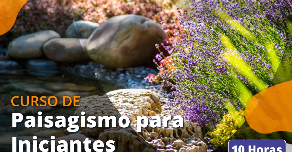 Rega Inteligente: Evite Erros Comuns - inspiração 2