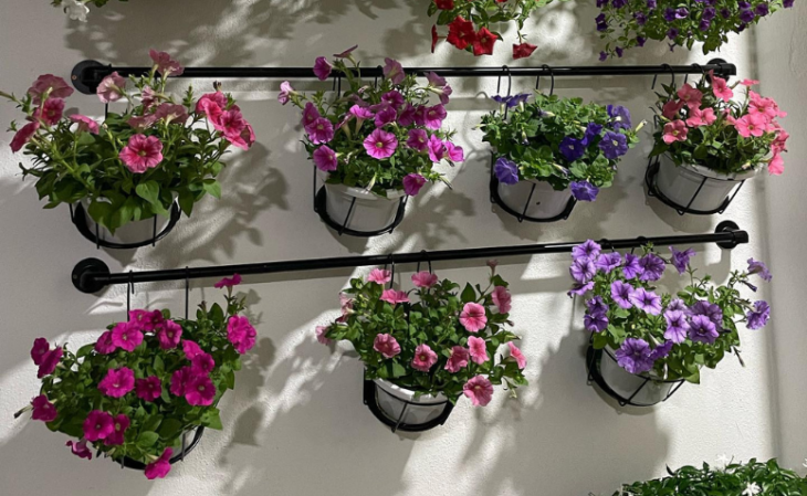 Controle de Pragas e Doenças: Prevenção é a Chave - inspiração 1