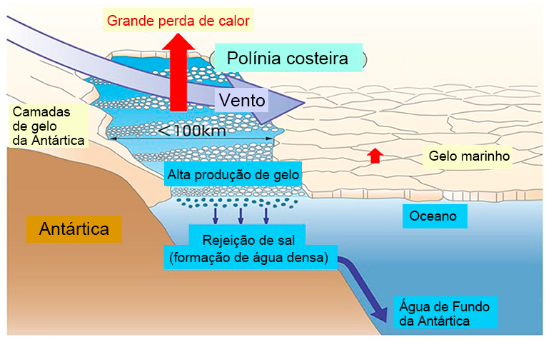 Onde Mais Encontramos Essa Propriedade? - inspiração 2
