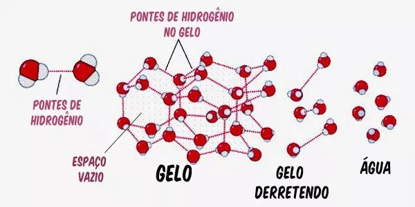 Congelamento: Uma Reorganização Espacial - inspiração 2