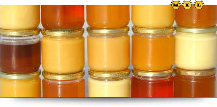 Tipos de Mel e Suas Tendências Naturais à Cristalização - inspiração 2