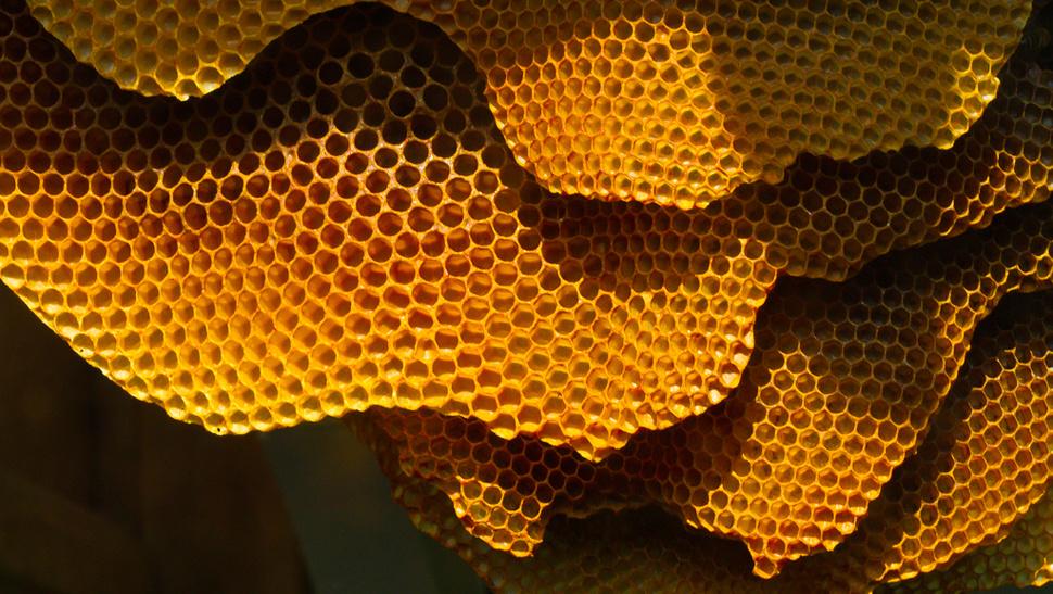 O Perigo do Mel para Bebês: O Que os Pais Precisam Saber