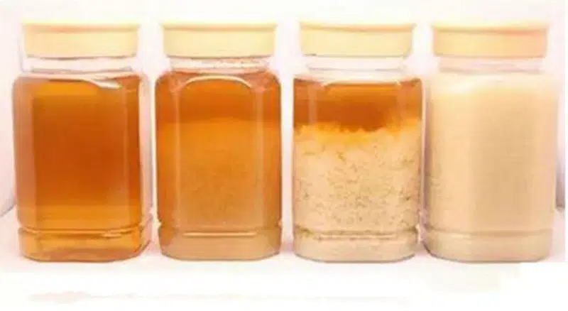 A Ciência por Trás da Longevidade do Mel: Uma Análise Detalhada