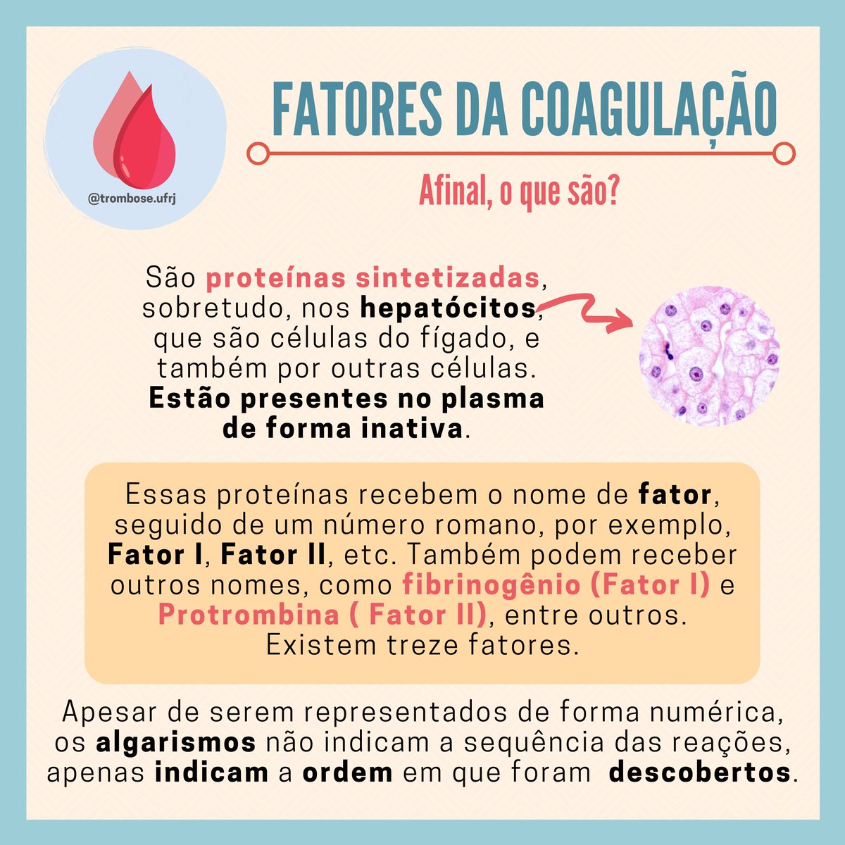 Desvendando o Mistério: Por Que o Sangue Coagula Automaticamente? - inspiração 2