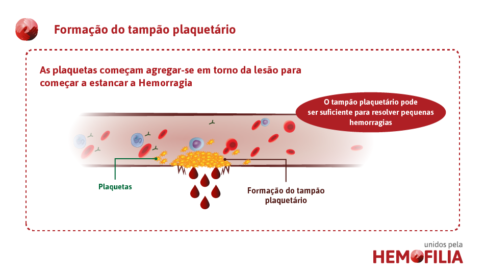 O Papel Crucial do Fibrinogênio: Criando a Rede de Segurança - inspiração 2