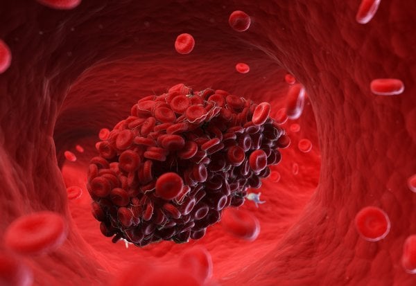 Como o Corpo Controla o Sangramento: Equilíbrio é a Chave - inspiração 2