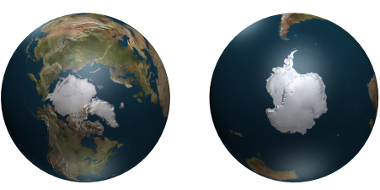 A vida selvagem nos polos: um contraste surpreendente