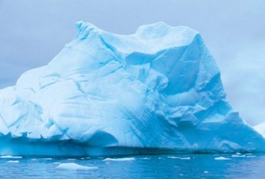 A vida selvagem nos polos: um contraste surpreendente