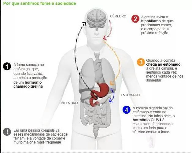 Hormônios da Fome: Grelina e Leptina em Ação - inspiração 2
