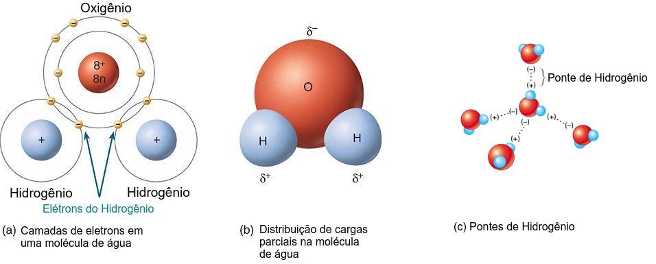Estados da Água: Sólido, Líquido e Gasoso - inspiração 2
