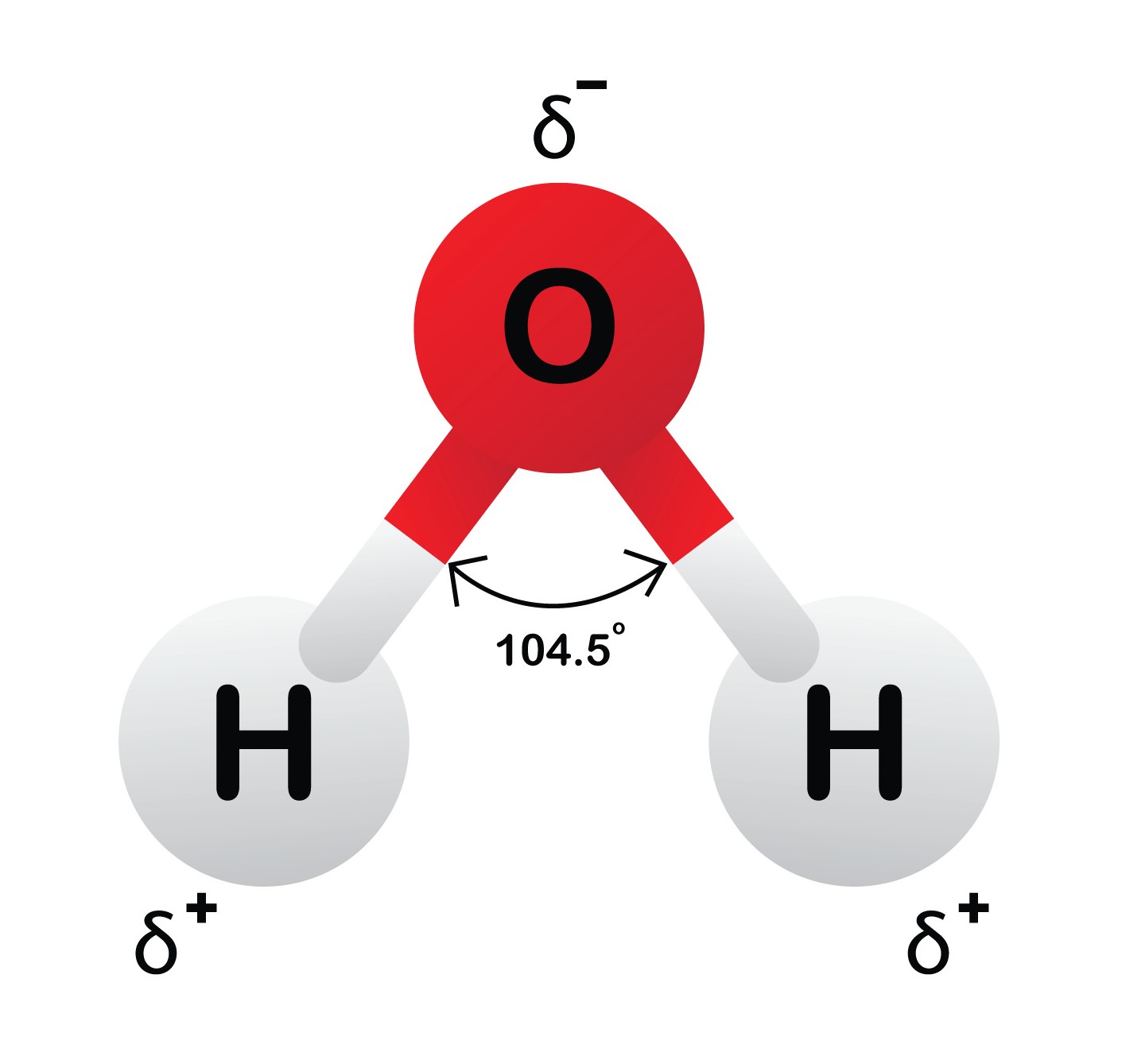 Calor Específico: O Regulador Térmico da Natureza - inspiração 1