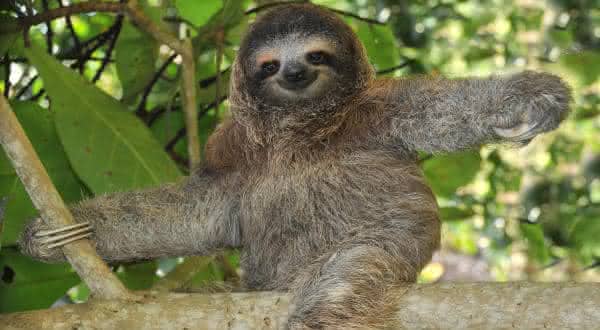 O Minhoca: Construindo o Solo em Ritmo Sereno - inspiração 1