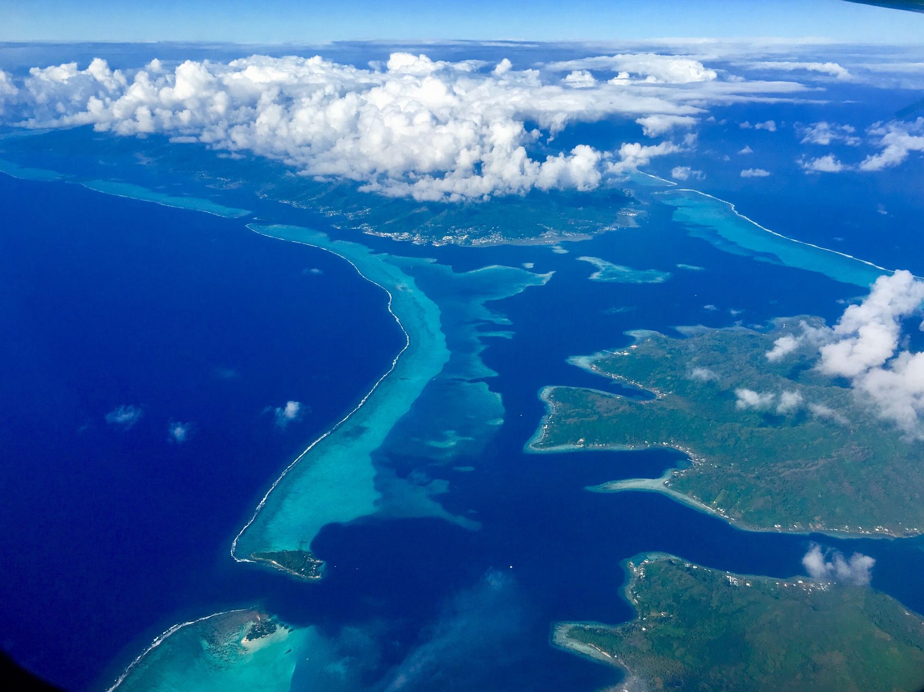 Biodiversidade Surpreendente: Um Mundo Subaquático Rico - inspiração 1