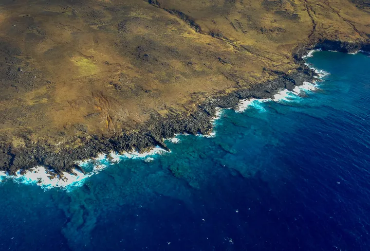 Desafios de Conservação: Protegendo o Maior Reservatório de Vida - inspiração 1