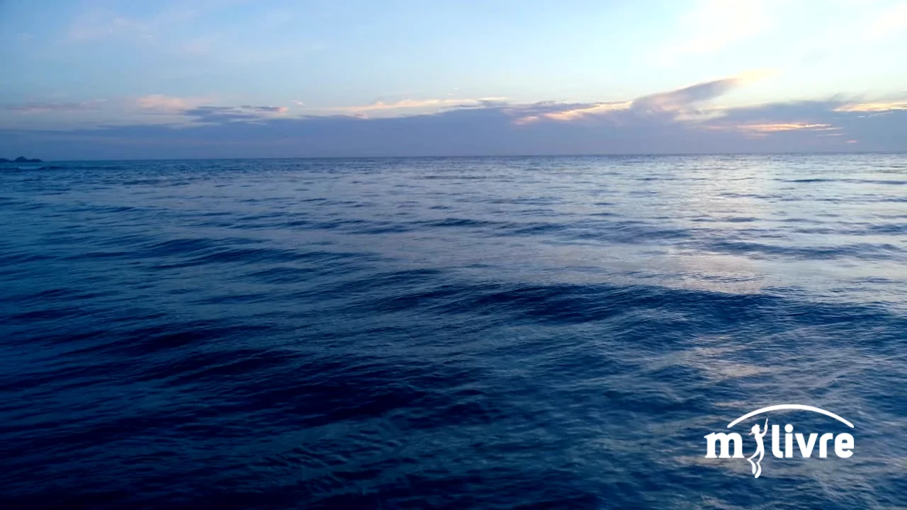 Exploração Científica: Novas Fronteiras no Oceano Pacífico - inspiração 2