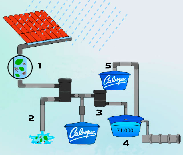 Águas Cinzas da Máquina de Lavar: Um Ouro Líquido Ignorado - inspiração 1