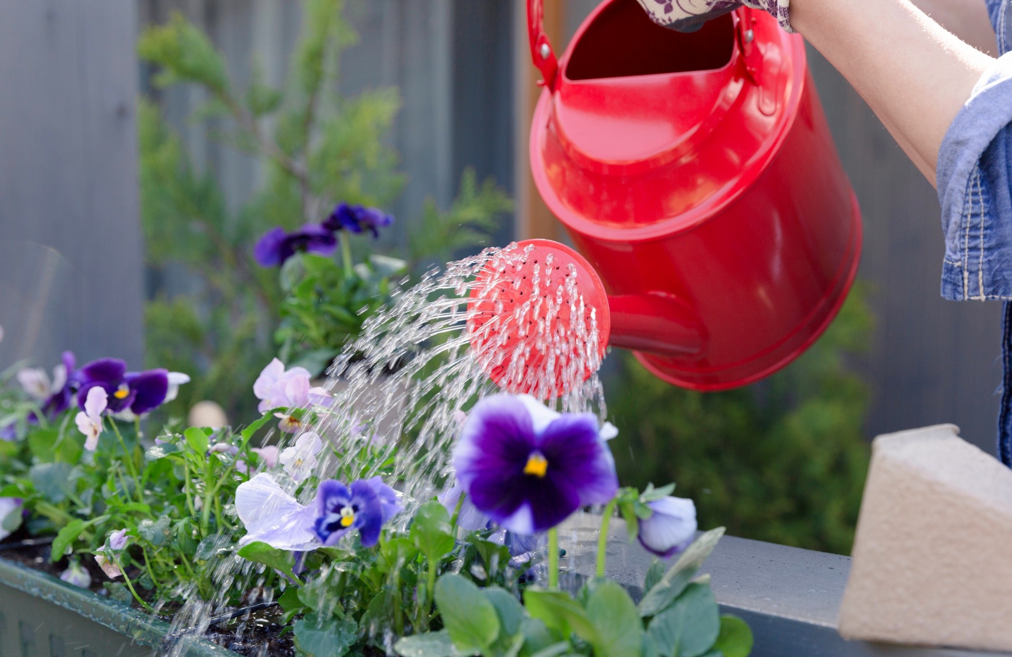 Águas Cinzas da Máquina de Lavar: Um Ouro Líquido Ignorado - inspiração 2