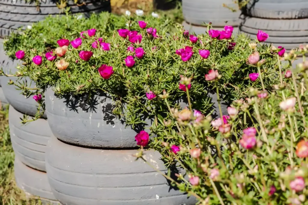 Onze Horas e Relacionamentos: Expressando Carinho e Cuidado - inspiração 2