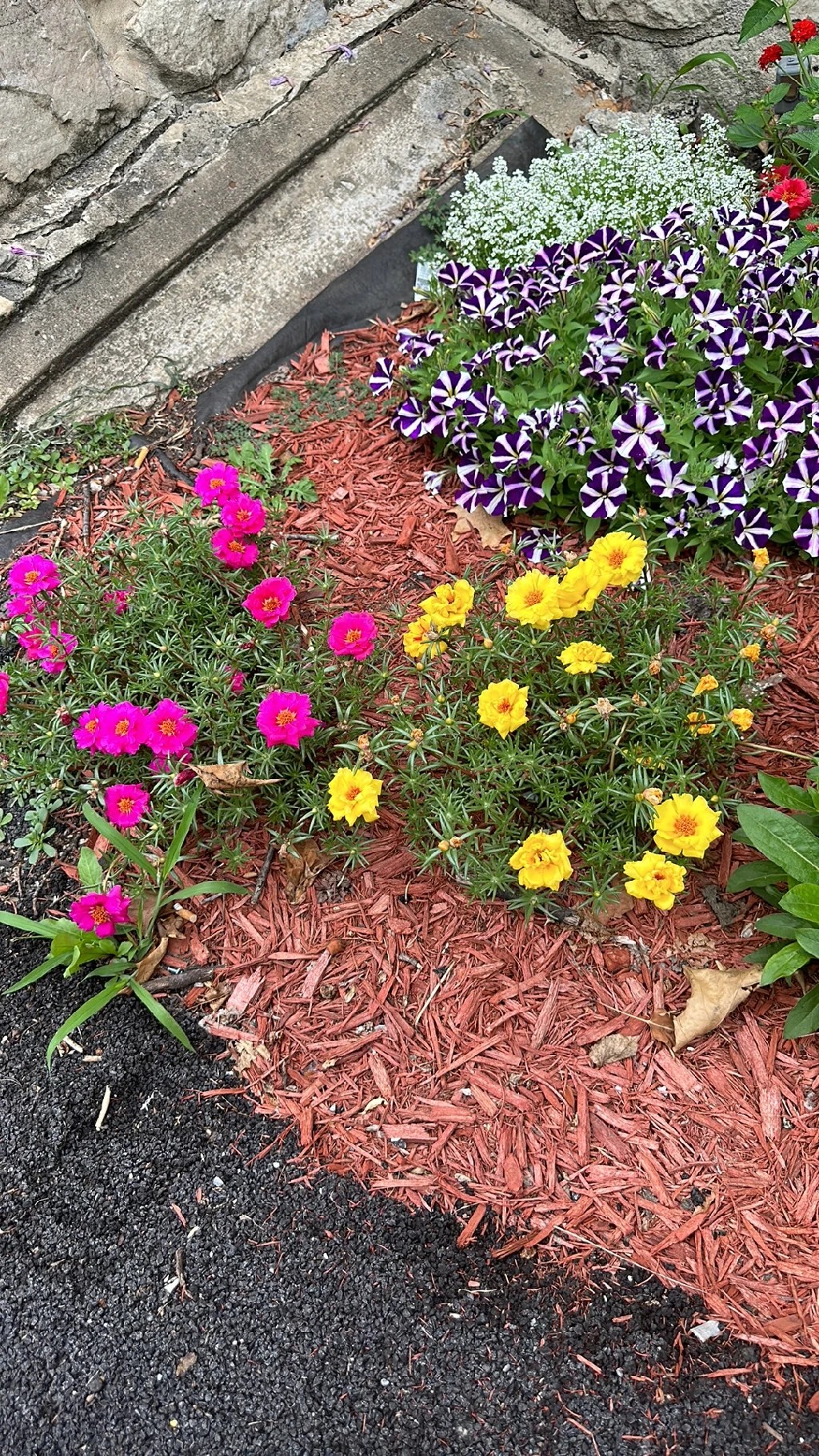 Onze Horas na Decoração: Trazendo Vitalidade Para o Seu Lar - inspiração 2