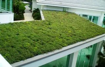 O Que Realmente É um Telhado Verde? - inspiração 1