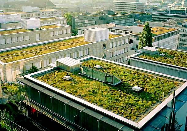 Inspiração: Exemplos Que Vão Te Deixar Apaixonada - inspiração 1