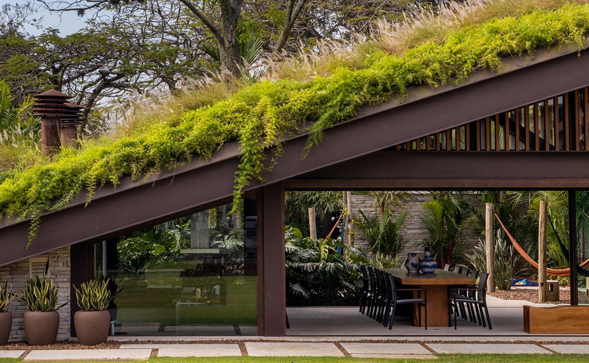 Benefícios Que Vão Além da Beleza - inspiração 1