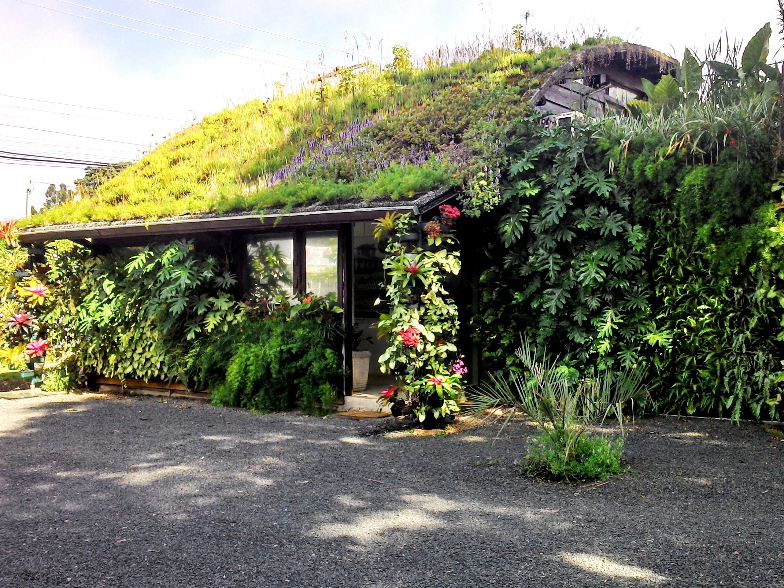 Telhado Verde e Sustentabilidade: Uma Combinação Campeã - inspiração 1