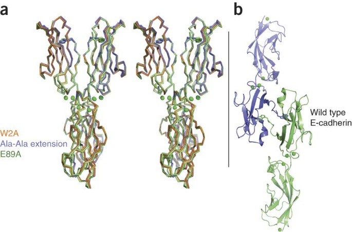 Diferenças entre Launch Control e Two-Step