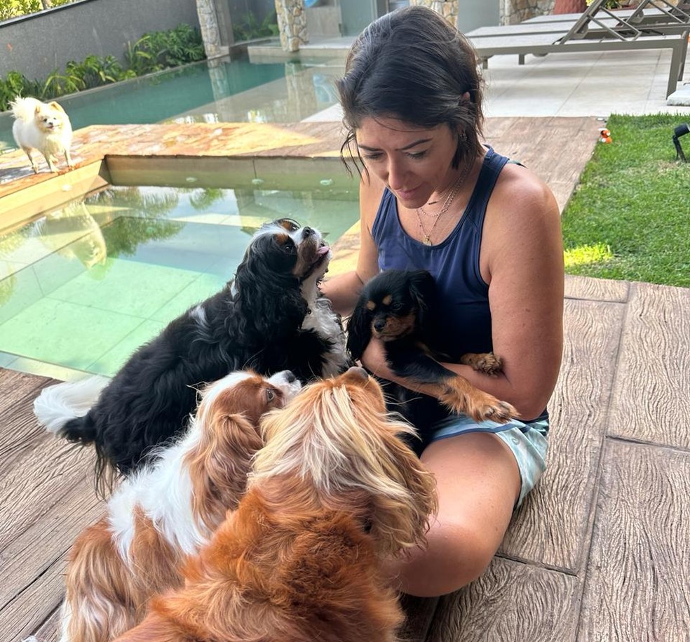 Entenda os CNAEs Essenciais para Adestradores de Animais MEI