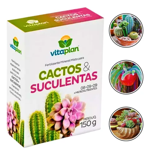 adubo para cactos e suculentas