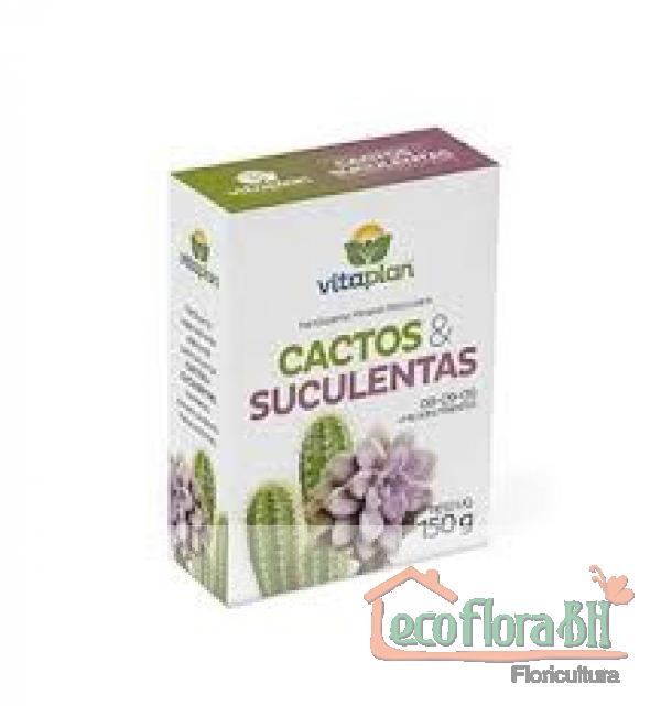 adubo para cactos e suculentas