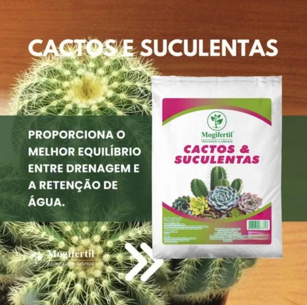 Bokashi Líquido vs. Húmus de Minhoca: Qual o Melhor Adubo Orgânico?