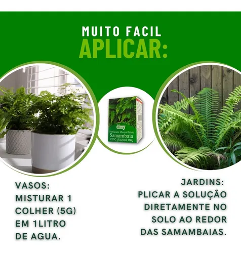 adubo para samambaias