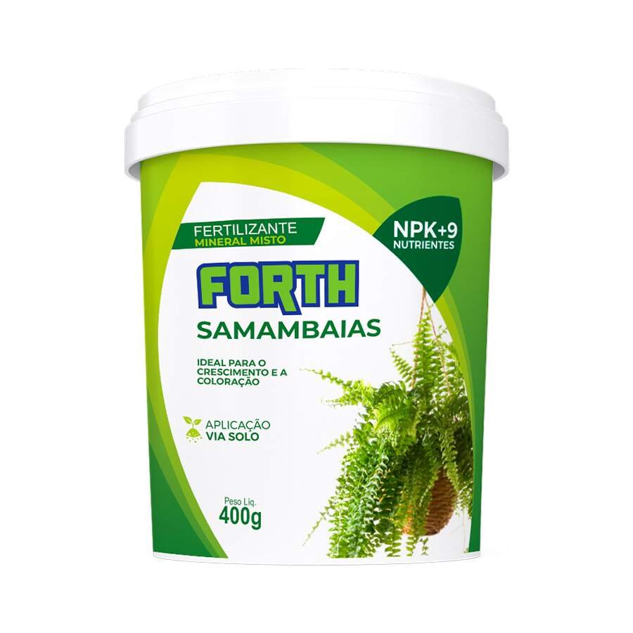 Samambaia Amarelada: Causas e Soluções Rápidas