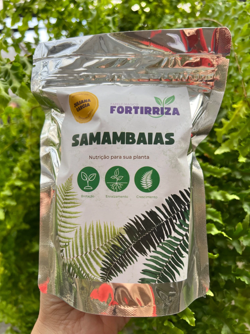 adubo para samambaias