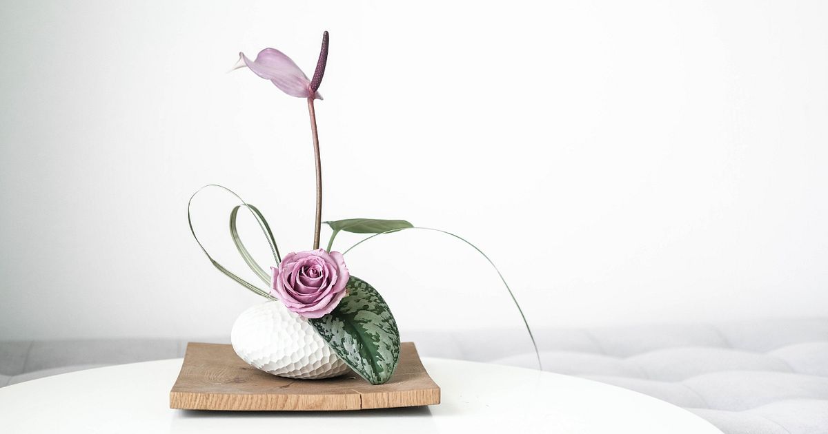 5 ideias de títulos:
1. Guia Completo: Como Escolher o Arranjo de Flores Perfeito para Cada Ocasião
2. Arranjos Florais Econômicos: Dicas para Decorar com Estilo sem Gastar Muito
3. A Arte da Longevidade: Segredos para Conservar Arranjos de Flores por Mais Tempo
4. Naturais ou Artificiais? Desvendando os Prós e Contras para sua Decoração Floral
5. O Significado Oculto das Flores: Escolha a Composição Ideal para Transmitir sua Mensagem