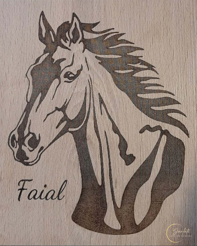 artesão em pirografia mei