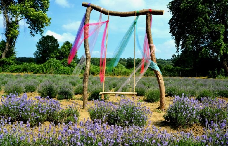 5 ideias de títulos