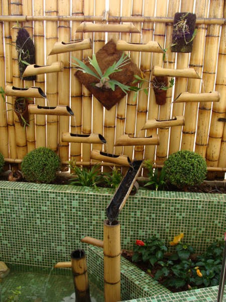 bambu no jardim