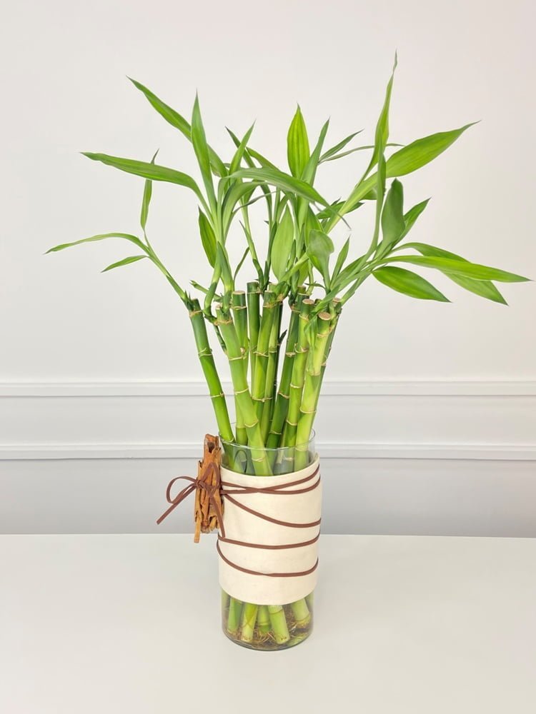 5 ideias de títulos