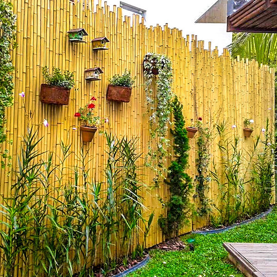 5 ideias de títulos