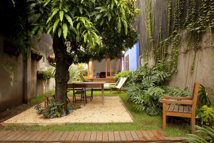 Casca de Pinus vs. Outros Mulches: Qual a Melhor Escolha?