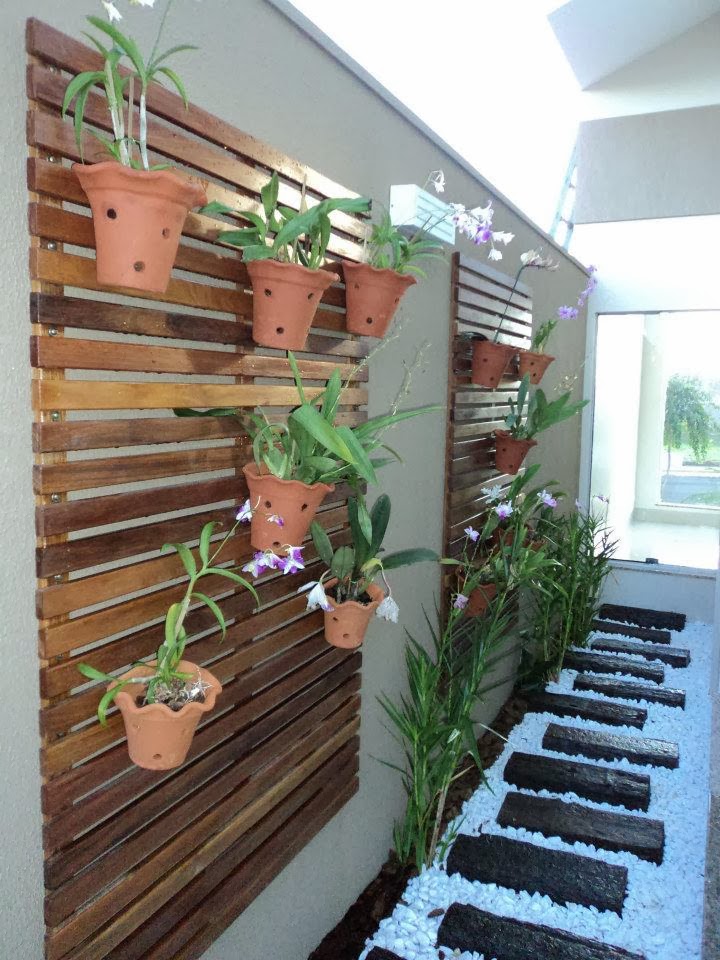 Onde Encontrar Casca de Pinus de Qualidade e com Bom Preço